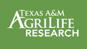 Texas A and M AgriLife Research Logo